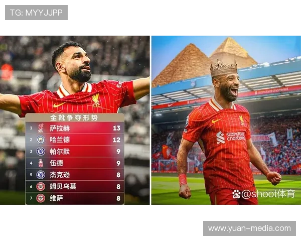 英超射手榜2015-2016赛季回顾